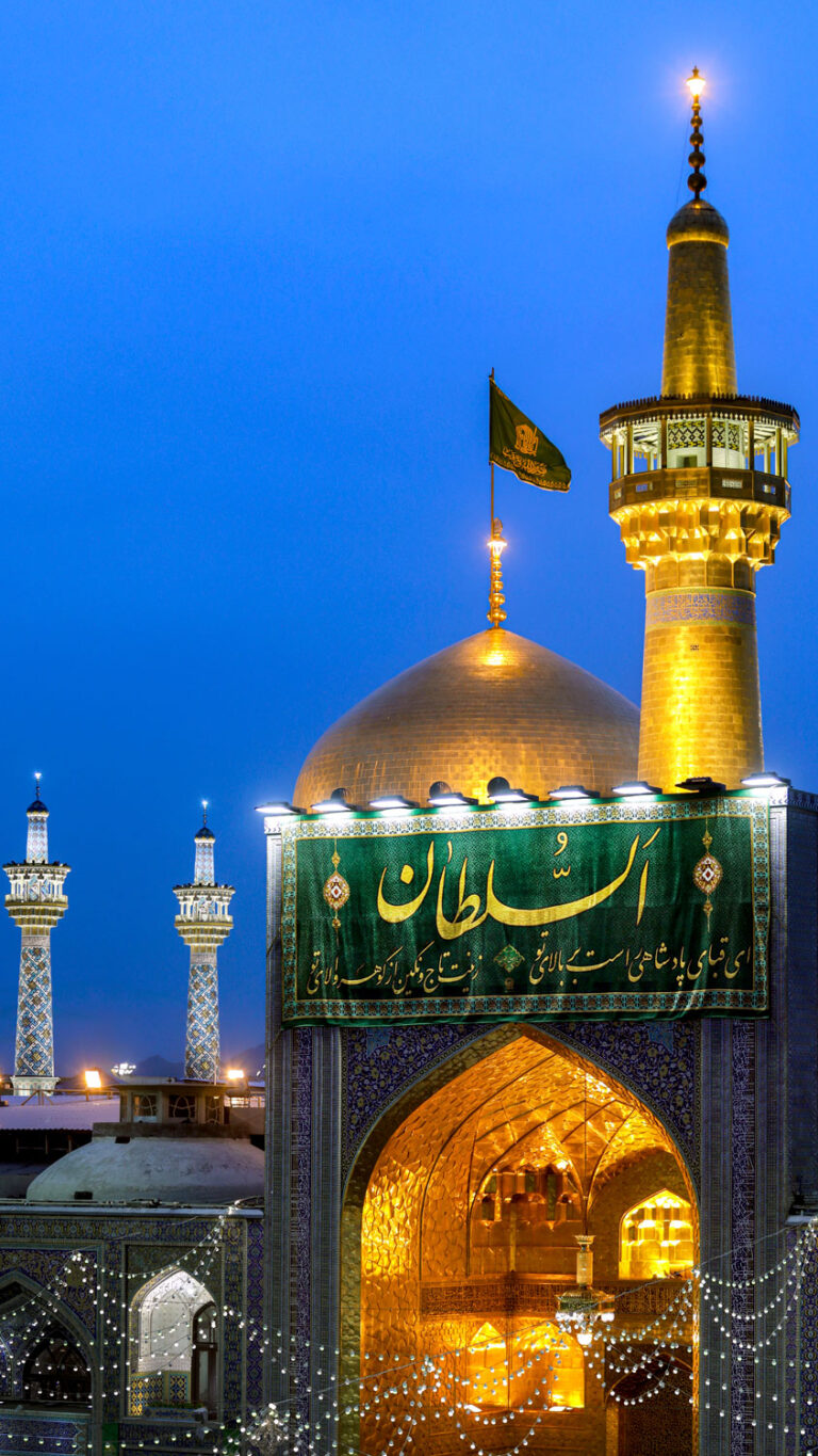سخن تاریخ و راهبردهای مهندسی فرهنگی امام على بن موسى الرضا (علیه السلام)