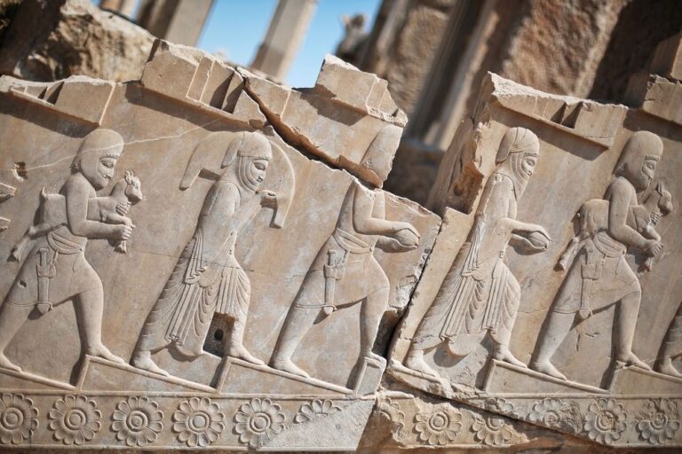 سخن تاریخ و تاریخ علم حال و آینده