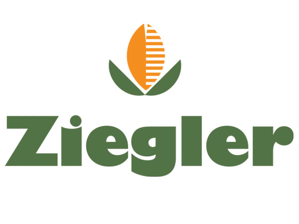 سخن تاریخ و چپاول و غارت تبریز در دوران استبداد صغیر مطالعه موردی: اموال کمپانی زیگلر