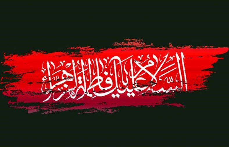 سخن تاریخ و نقد تخصیص آیات ارث به حدیث «إنَّا مَعَاشِرَ الأنبِیَاءِ لَا نُوَرِّثُ»؛ با تاکید بر استدلال های فاطمه زهرا (س) در خطبه فدکیه