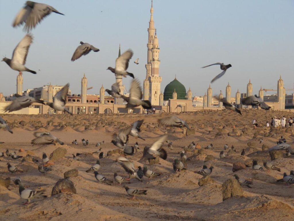 سخن تاریخ و قبر حضرت ام البنین (س) کجاست؟