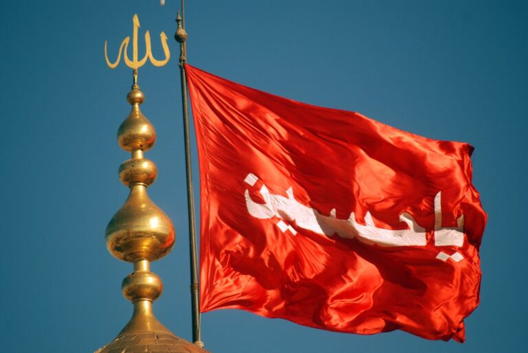 سخن تاریخ و چرا امام حسین (علیه السلام) قیام کرد؟!